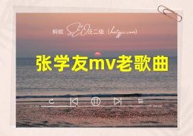 张学友mv老歌曲