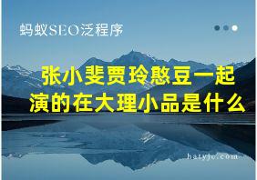 张小斐贾玲憨豆一起演的在大理小品是什么