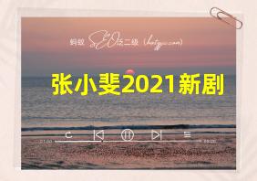 张小斐2021新剧