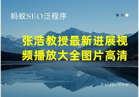 张浩教授最新进展视频播放大全图片高清