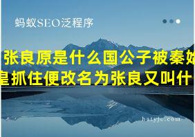 张良原是什么国公子被秦始皇抓住便改名为张良又叫什么