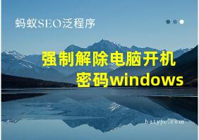 强制解除电脑开机密码windows