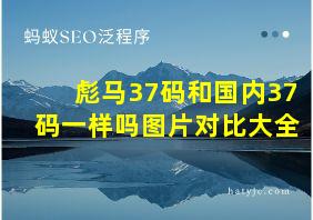 彪马37码和国内37码一样吗图片对比大全