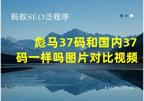 彪马37码和国内37码一样吗图片对比视频