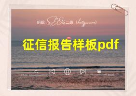 征信报告样板pdf