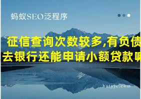 征信查询次数较多,有负债去银行还能申请小额贷款嘛