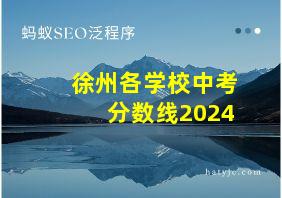 徐州各学校中考分数线2024