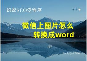 微信上图片怎么转换成word