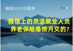 微信上的灵活就业人员养老保险是按月交的?