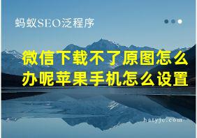 微信下载不了原图怎么办呢苹果手机怎么设置