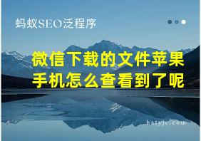 微信下载的文件苹果手机怎么查看到了呢