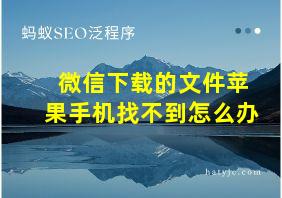 微信下载的文件苹果手机找不到怎么办