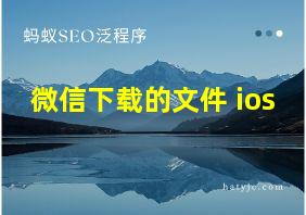 微信下载的文件 ios