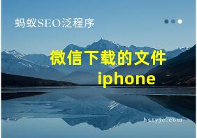 微信下载的文件 iphone