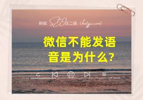 微信不能发语音是为什么?