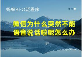 微信为什么突然不能语音说话啦呢怎么办