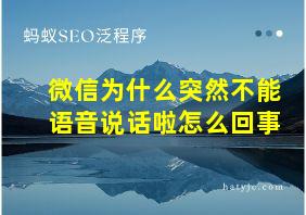 微信为什么突然不能语音说话啦怎么回事