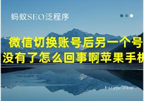 微信切换账号后另一个号没有了怎么回事啊苹果手机