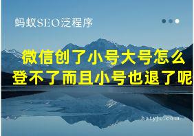 微信创了小号大号怎么登不了而且小号也退了呢