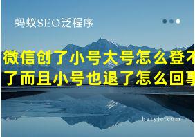 微信创了小号大号怎么登不了而且小号也退了怎么回事