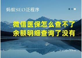 微信医保怎么查不了余额明细查询了没有