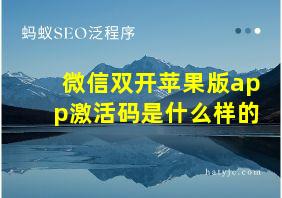 微信双开苹果版app激活码是什么样的