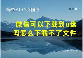 微信可以下载到u盘吗怎么下载不了文件