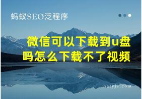 微信可以下载到u盘吗怎么下载不了视频