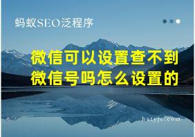 微信可以设置查不到微信号吗怎么设置的