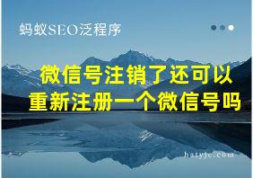 微信号注销了还可以重新注册一个微信号吗