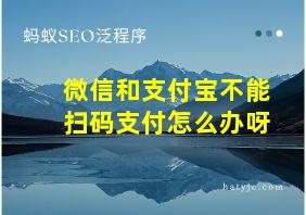 微信和支付宝不能扫码支付怎么办呀