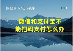 微信和支付宝不能扫码支付怎么办