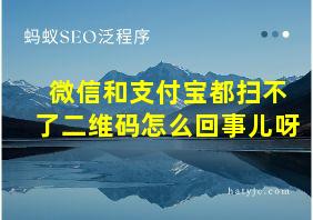 微信和支付宝都扫不了二维码怎么回事儿呀