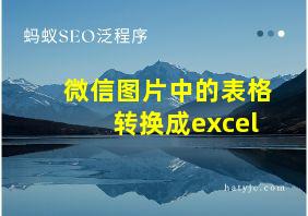 微信图片中的表格转换成excel