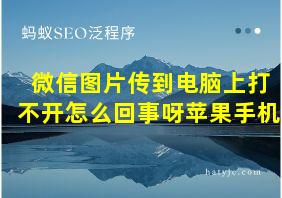 微信图片传到电脑上打不开怎么回事呀苹果手机