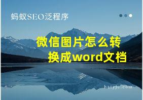 微信图片怎么转换成word文档