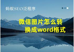 微信图片怎么转换成word格式