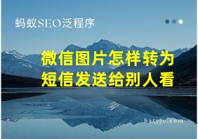 微信图片怎样转为短信发送给别人看