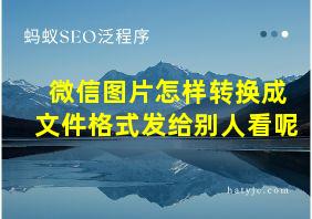 微信图片怎样转换成文件格式发给别人看呢