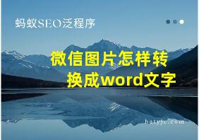 微信图片怎样转换成word文字