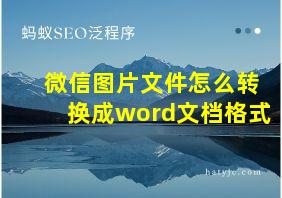 微信图片文件怎么转换成word文档格式