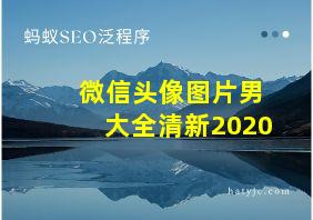 微信头像图片男大全清新2020