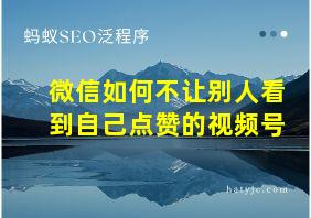 微信如何不让别人看到自己点赞的视频号