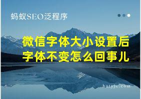 微信字体大小设置后字体不变怎么回事儿