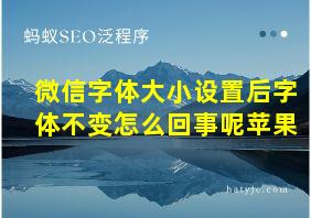 微信字体大小设置后字体不变怎么回事呢苹果