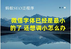 微信字体已经是最小的了 还想调小怎么办