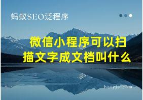 微信小程序可以扫描文字成文档叫什么