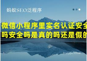 微信小程序里实名认证安全吗安全吗是真的吗还是假的