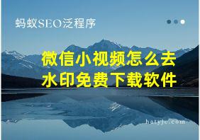 微信小视频怎么去水印免费下载软件