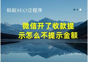 微信开了收款提示怎么不提示金额